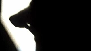 'Do you like shadow masturbation?'