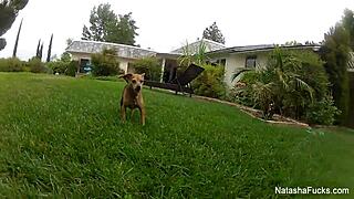 Natasha Nice And Alison Tyler In Lesbian Oral Scene