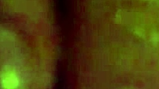 amateur babe gets bound and fucked with toys