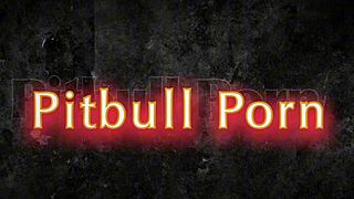 Imagine An Orgy At The Gym With Sexy Fernanda Chocolate