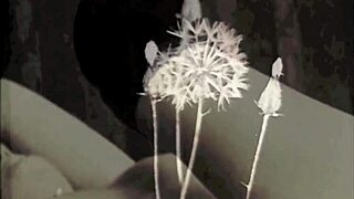 Vintage Taboo Step Son Fucks Mommy