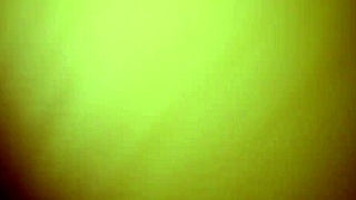 Fat BBW Performs Reverse Cowgirl Ride On Cock