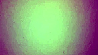 Colombian Gives Rich Blowjob Homemade