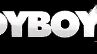 my huge cock shemale lover teases in stockings. solo brunette shows off shaved body for wild fun.