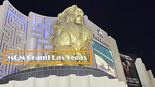 哟，想看拉斯维加斯的狂野肛交吗？