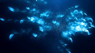 beauty with cute doll face sucks big cock gets cum on face