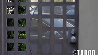 chad alva and charlotte sins in lapdog action 😏