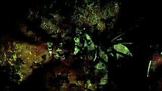 omg, vintage erotic art got me all nostalgic