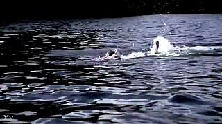 supernatural sexy bikini girl swims in pool