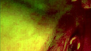 Sisi rose begs for pussy eating and creampie!