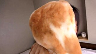 Cute jd akari can't resist her boyfriend, reunion turns to punishment sex with spanking and creampie