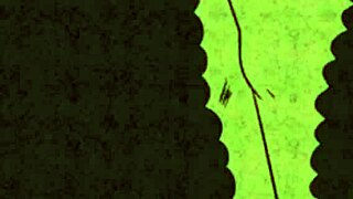 Join the fun cell absorbs insides AMV body party with anime hentai vibes! 🎉