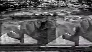 Morena casada se encontra com o vigilante e eles começam a trepar eroticamente na casa