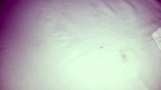 Gilmaragrossi Gives It Hard In Motel! Full Video Of Shemale Crossdressing Action