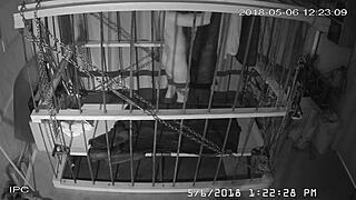 The Cagecam Provides A Non-Edited Downloaded Feed From The Cage For Bound Individuals.