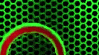 Sasha Foxx Gives Amazing Footjob Only At Fuckedfeet!