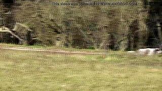 Mature woman flashes hairy pussy in park.