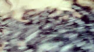 Wanessa Silva Sucking Shemale Cock In Brazilian Amateur Scene