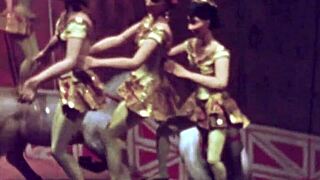 Vintage Erotic Cartoon Drawings Collection