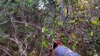 A Palhaça It Levou Na Bunda