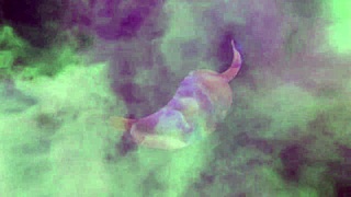 Latina Pornstar Makes Me Tremble With Her Oral Skills