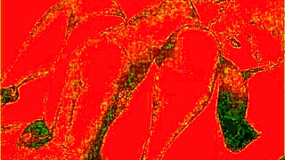 Look at this vintage erotic cartoon illustration