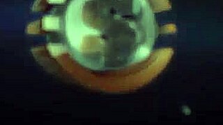 Meet The Girl Next Door In Hardcore Action!