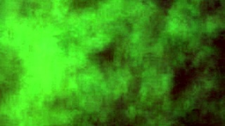 超近距离舔阴在狂野会计师恋物冒险