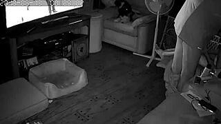 My wife gives amazing blowjobs to me