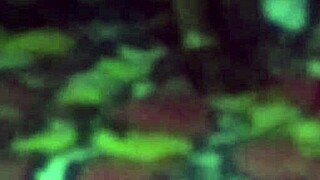 Indian guy lifts sleeping sister-in-law and fucks her