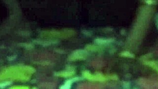 Indian guy lifts sleeping sister-in-law and fucks her