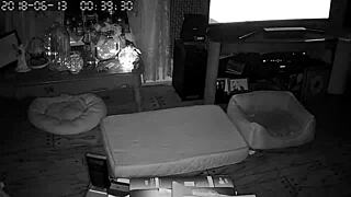 My wife gives amazing blowjobs to me