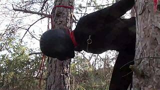 hey, tied to a tree in pantyhose and heels for rough outdoor banging!