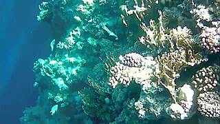 mariaold the milf flashes her huge natural tits and pussy