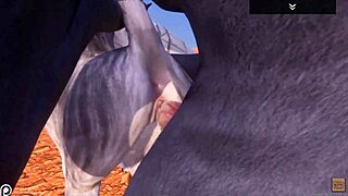 Alpha wolf enjoys tasty she-wolf in wild life adventure