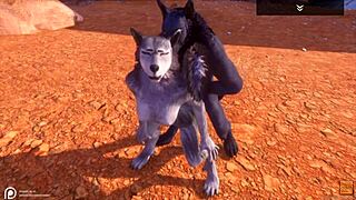 Alpha wolf enjoys tasty she-wolf in wild life adventure