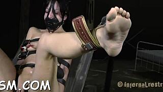 sadomasochism whipping tube for tight cunt domination