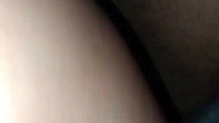 i'm the little fox living in the villa in argentina