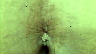 spooky halloween evening where kids dress up and go trick or treating in the neighborhood!