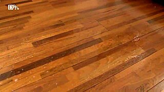 I can't believe these asian babes with big tits in blowjob scenes