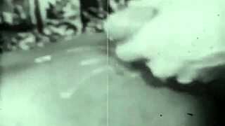 Wow, Dark Lantern Entertainment Brings Vintage Interracial Erotica from My Secret Life Confessions