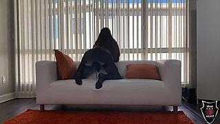 hot brunette hazel moore cant wait to suck and fuck rome majors thick dick!