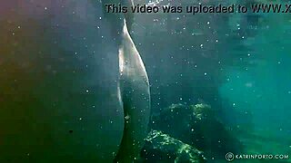 bbw with hairy pussy nude in public?