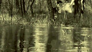 Two Centuries Of Vintage Entertainment