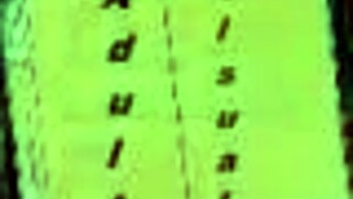 Wow, Harem Hotel 107 Brings Anime Fun!