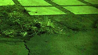 EXTREME B COMPILATION XXX UNLESS YOURE FROM THE SIXTIES AND