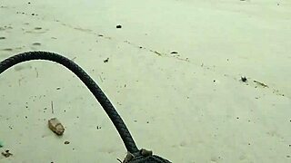 i went for a roll on the beach and found a tasty piroca to foder and ended up drinking leite