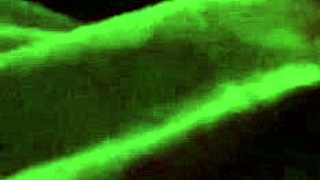 I watch the white girl sucking my monster cock