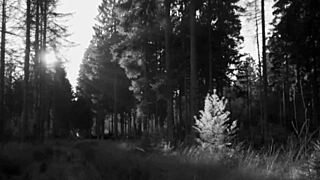 blonde shows bra, guy wants sex!