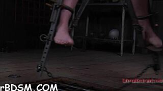 caged hotty begs for castigation with toys and blowjobs